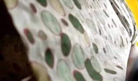 Dannatamente interessante video amatoriali italiani hard nel divario bagnato