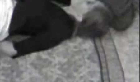 Bella video erotici italiani gratuiti Trisha giocando con il suo culo in cima al pollo