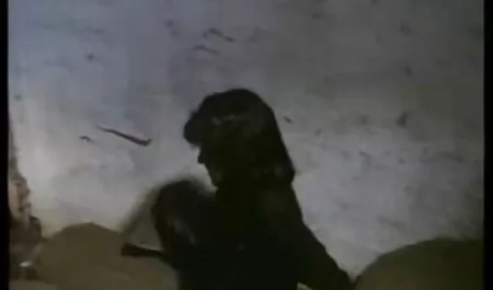 L'uomo non si lamentava solo, xxx amatoriale gratis ma urlava anche quando versava lo sperma nella bocca della Bruna