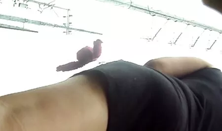 Biondo pulcino youporn video amatoriali gratis Barbie Addison prende cum inzuppato