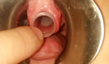 La ragazza si spoglia in modo allettante e video scopate mature italiane quando si sveglia con il cancro, uno spettacolo davvero ammaliante di due fori affascinanti aperti.